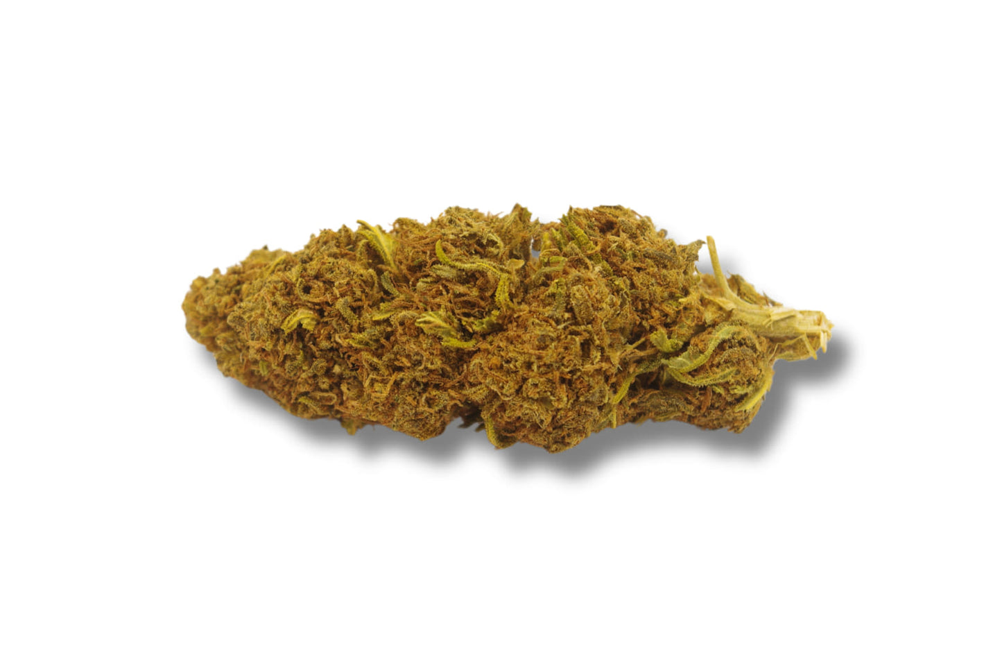 Flor de CBD Critical Jack - CBD sender
