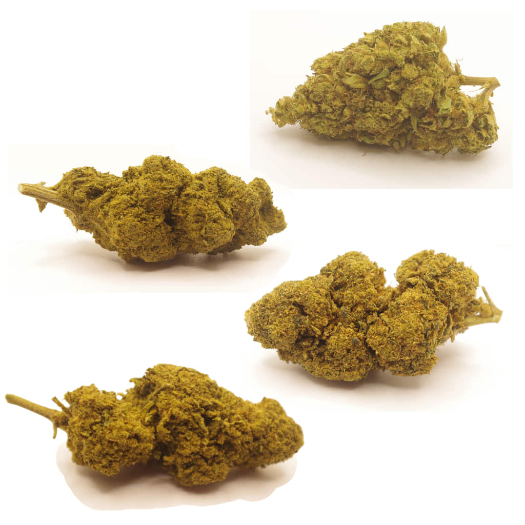 Variedades incluidas en el pack glasshouse de CBD
