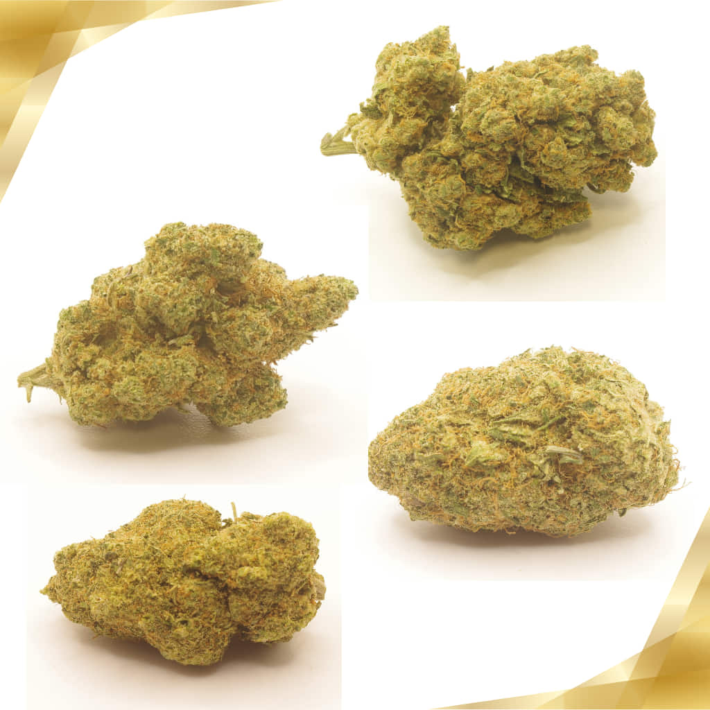 Pack Deluxe CBD indoor con flores premium top shelf
