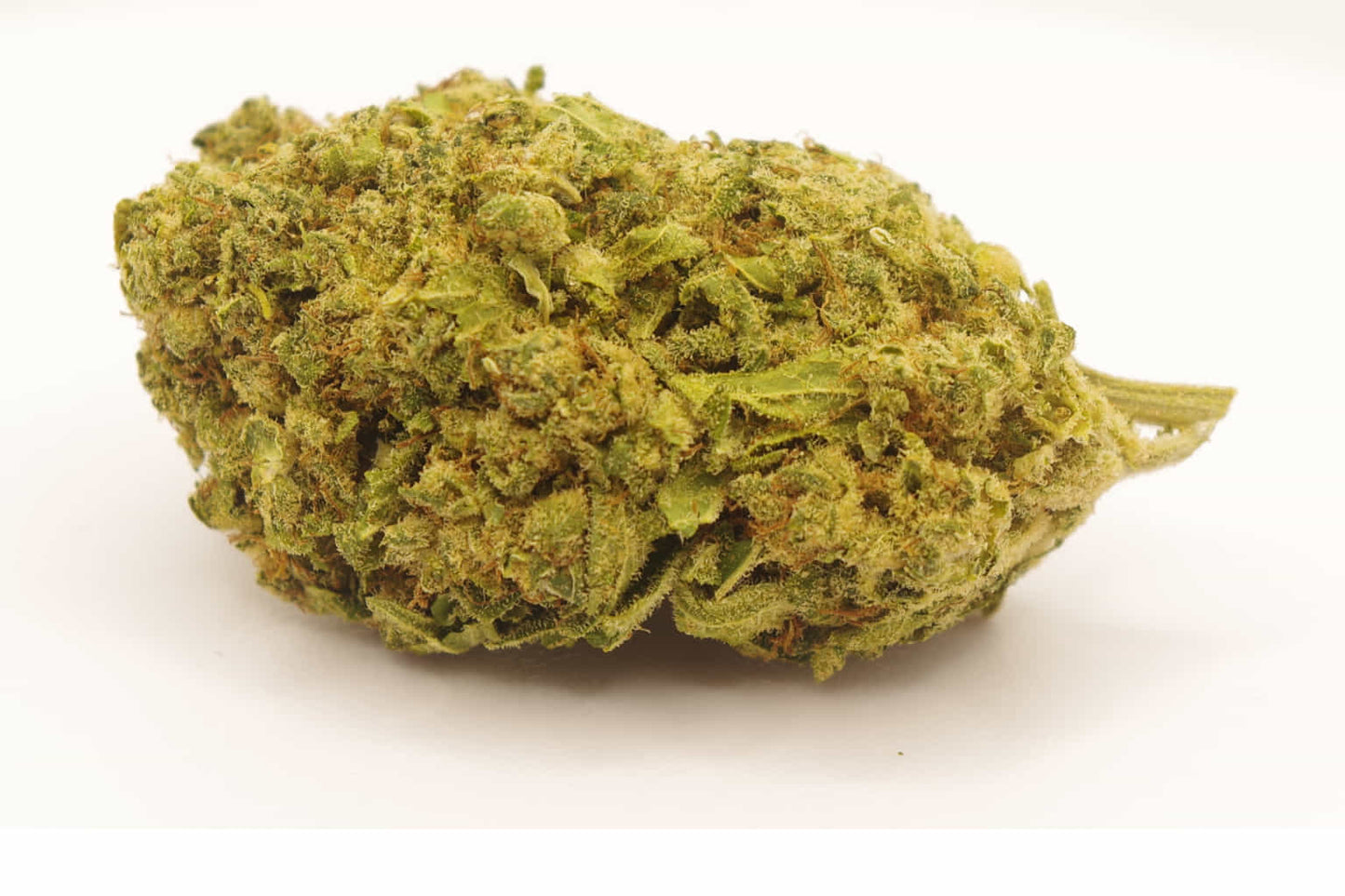 Flor de CBD Blue Gelato - CBD sender
