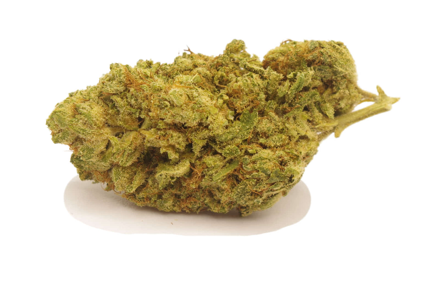 Flor de CBD Blue Gelato - CBD sender