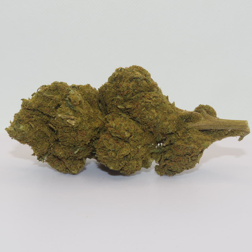 Flor de CBD Tropical Punch