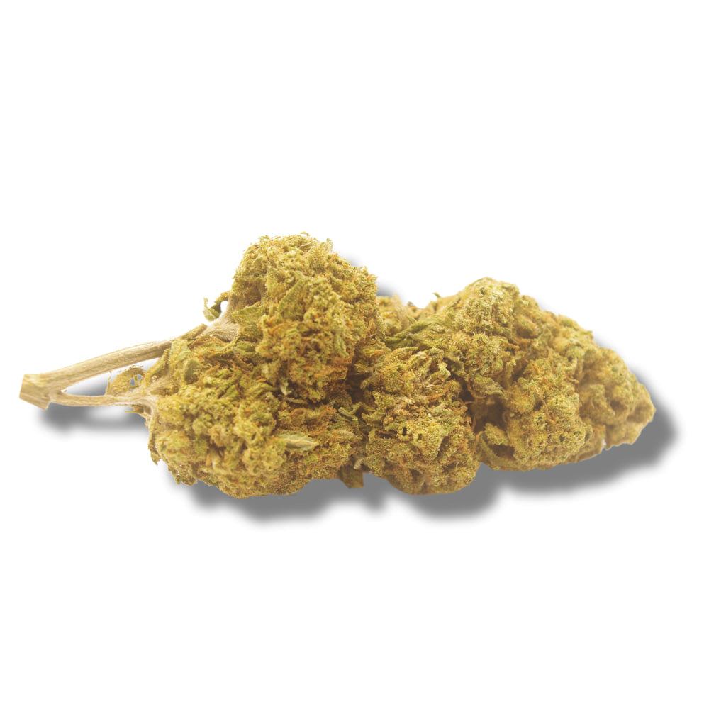 Flor de CBD Gorilla Haze