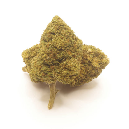 Flor de CBD Chocolope