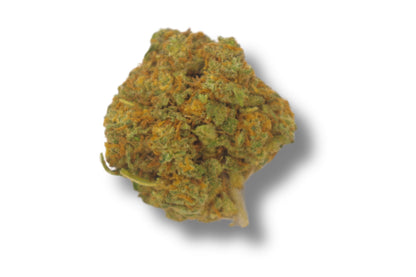 Flor de CBD Orange