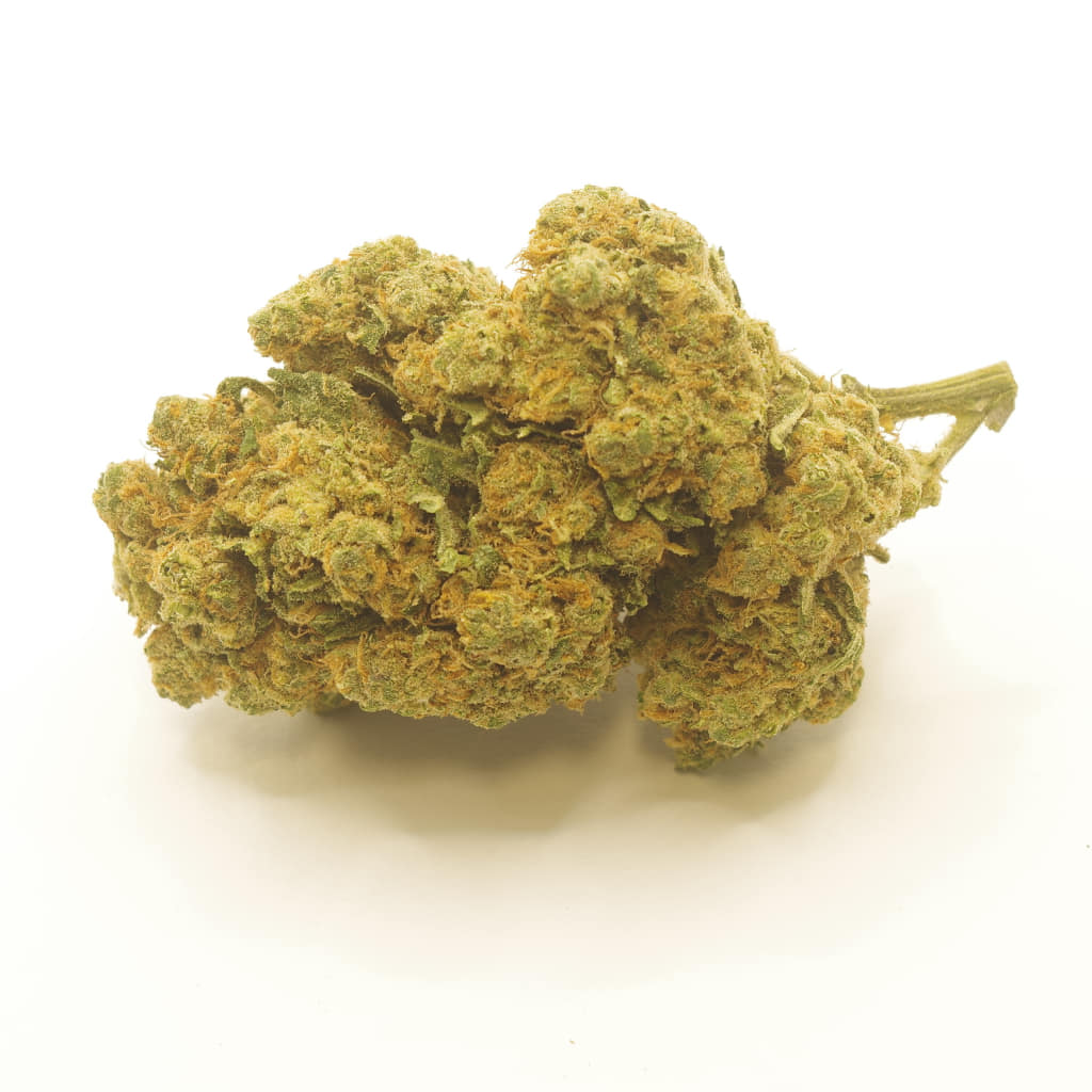 Flor de CBD Amnesia hidropónica