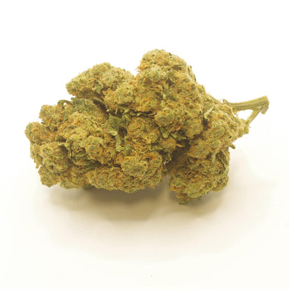 Flor de CBD Amnesia hidropónica