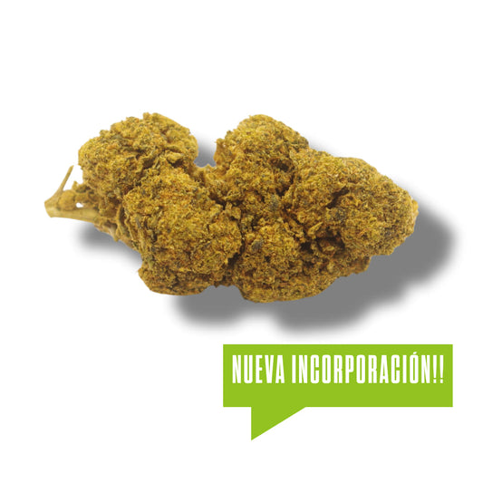 Flor de CBD Runtz