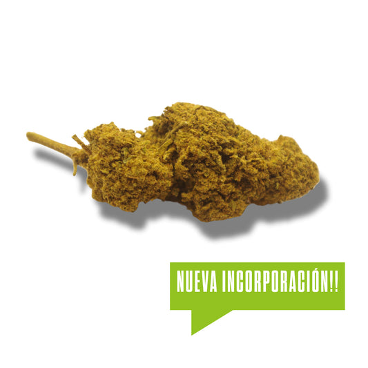 Flor de CBD Cheese