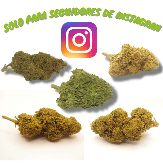 Nuevo Pack degustación Flores Mix seguidores