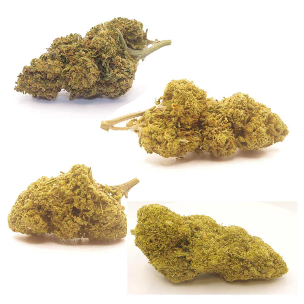 Pack Eco CBD con flores greenhouse y outdoor al mejor precio