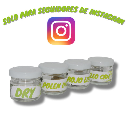 Pack degustación resinas seguidores